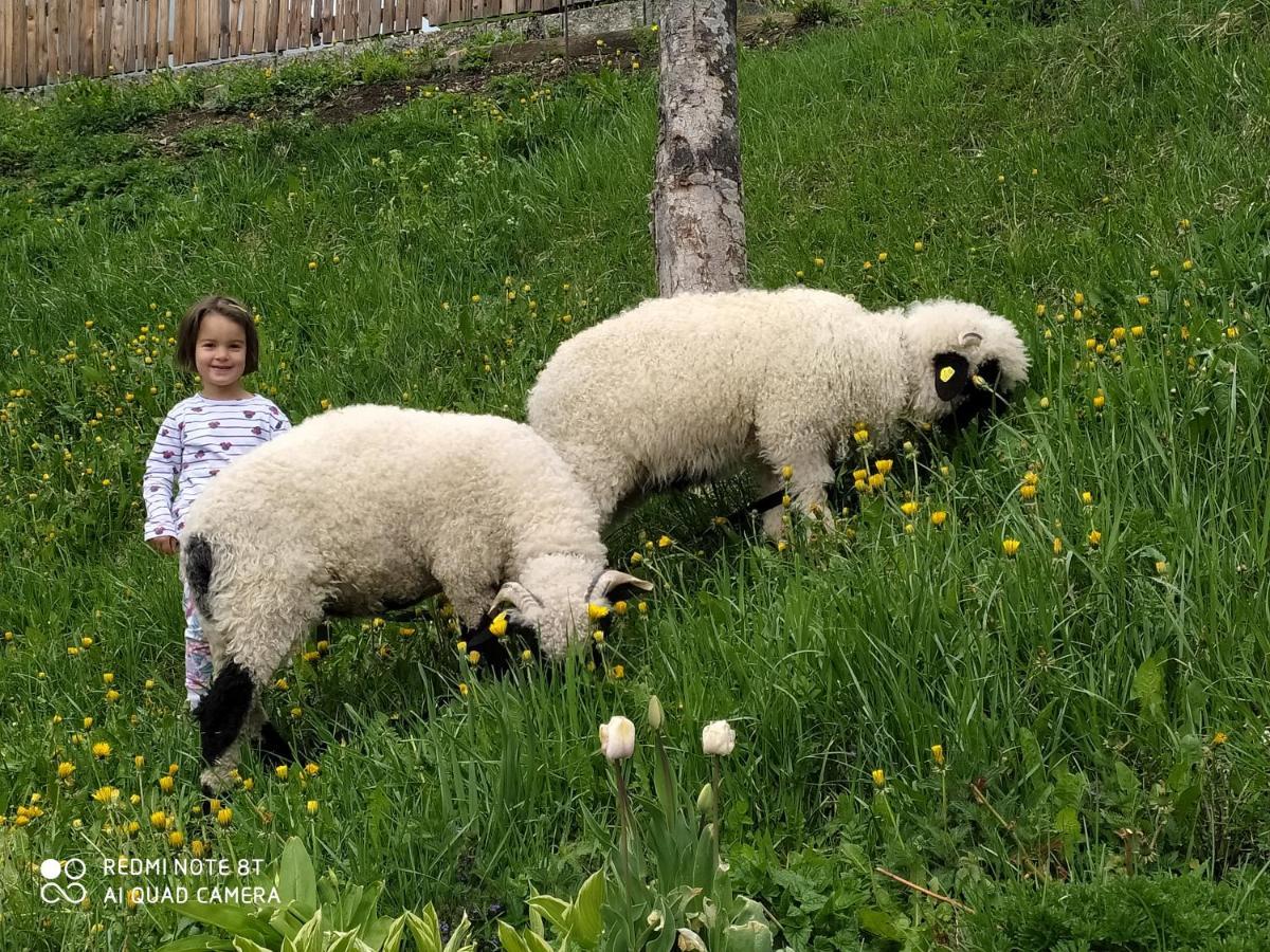 Agriturismo Luech Picedac La Valle Bagian luar foto