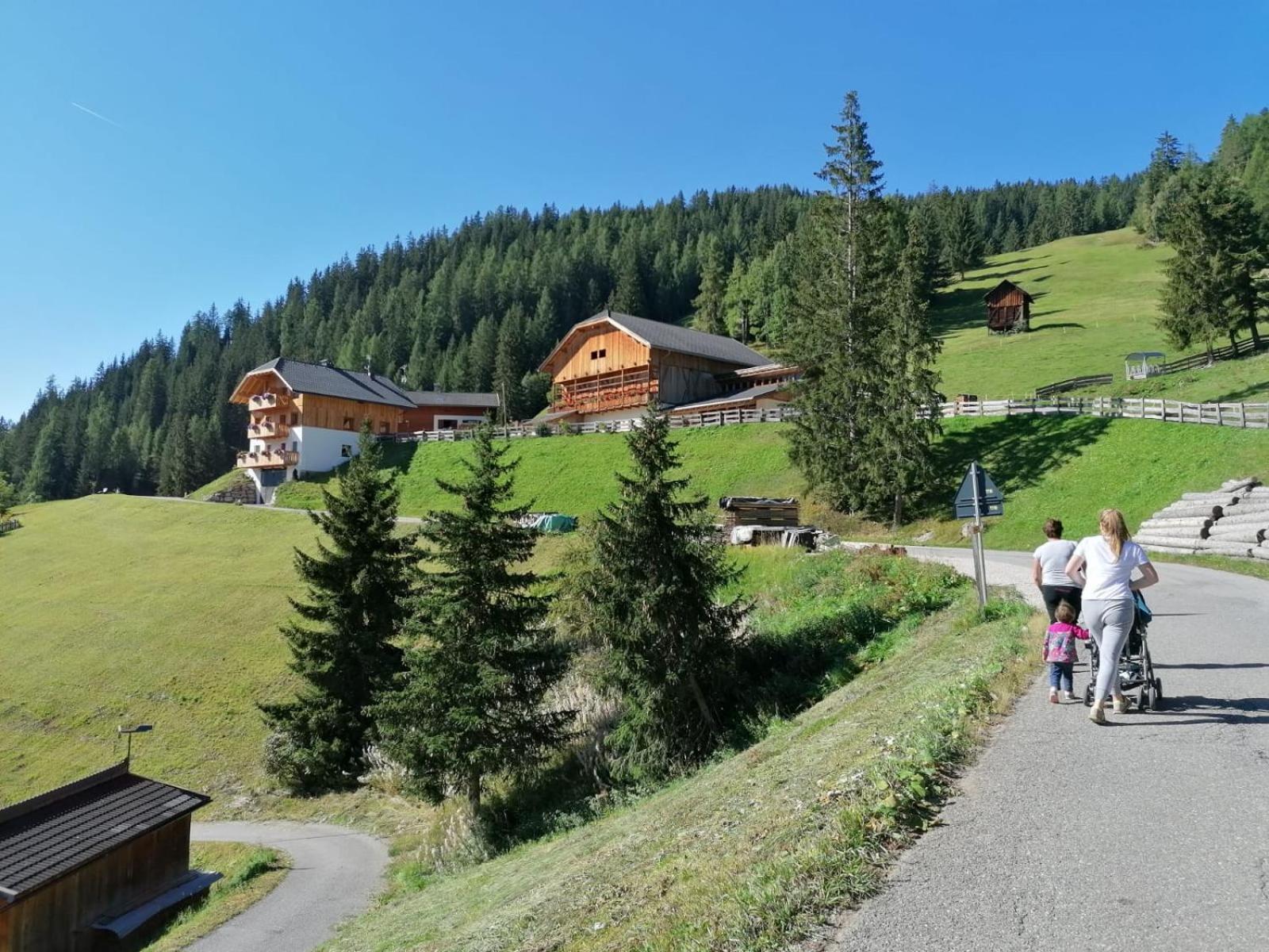 Agriturismo Luech Picedac La Valle Bagian luar foto