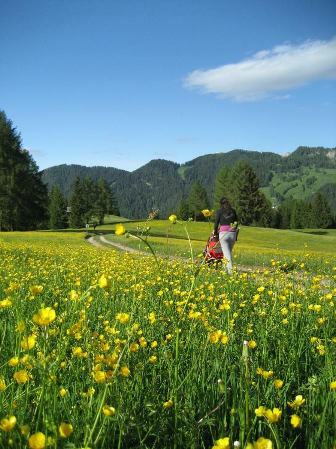 Agriturismo Luech Picedac La Valle Bagian luar foto